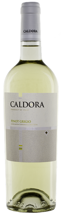 Caldora Pinot Grigio 2023